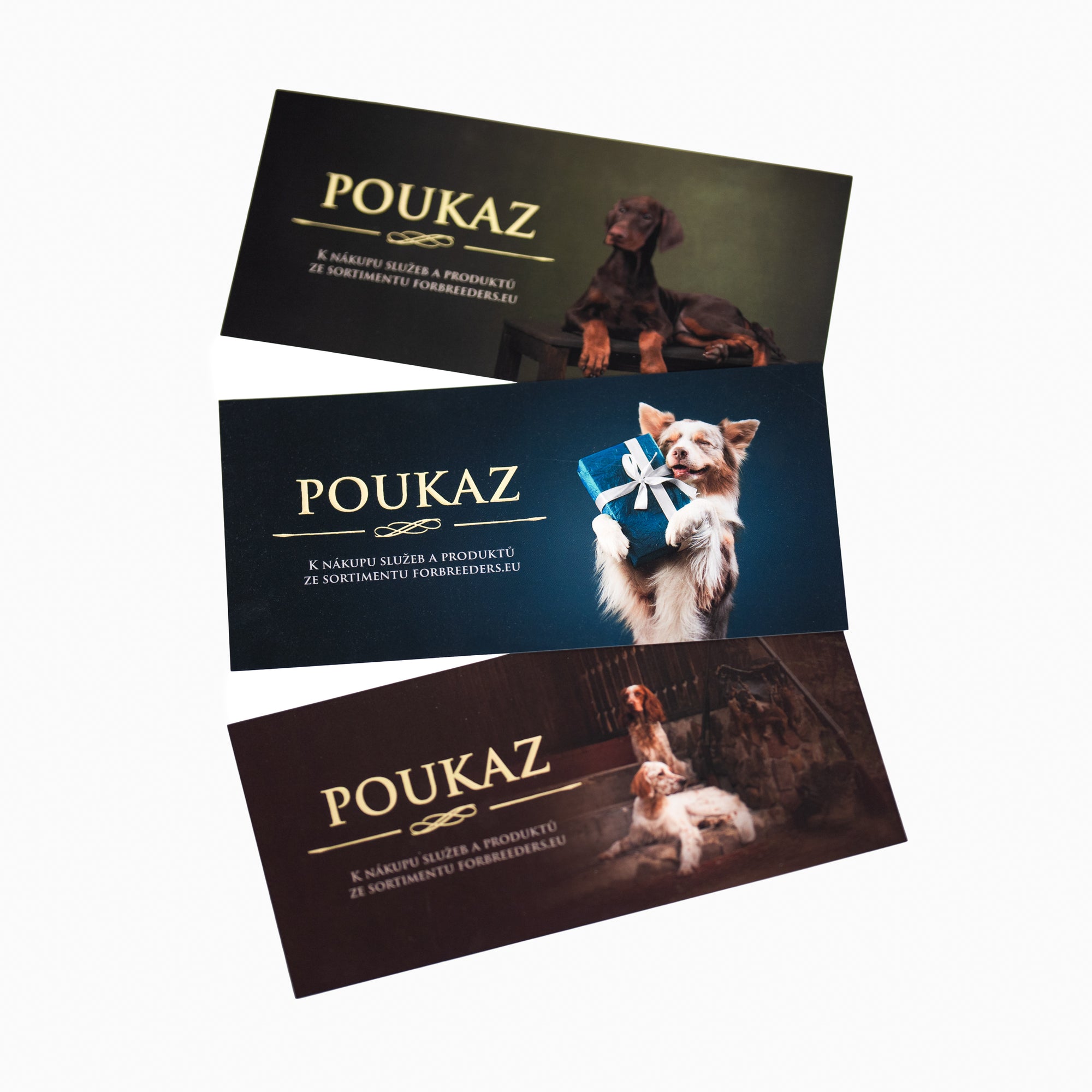 Gift voucher
