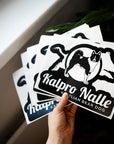 Car sticker printed
