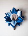 Show clip "rosette"
