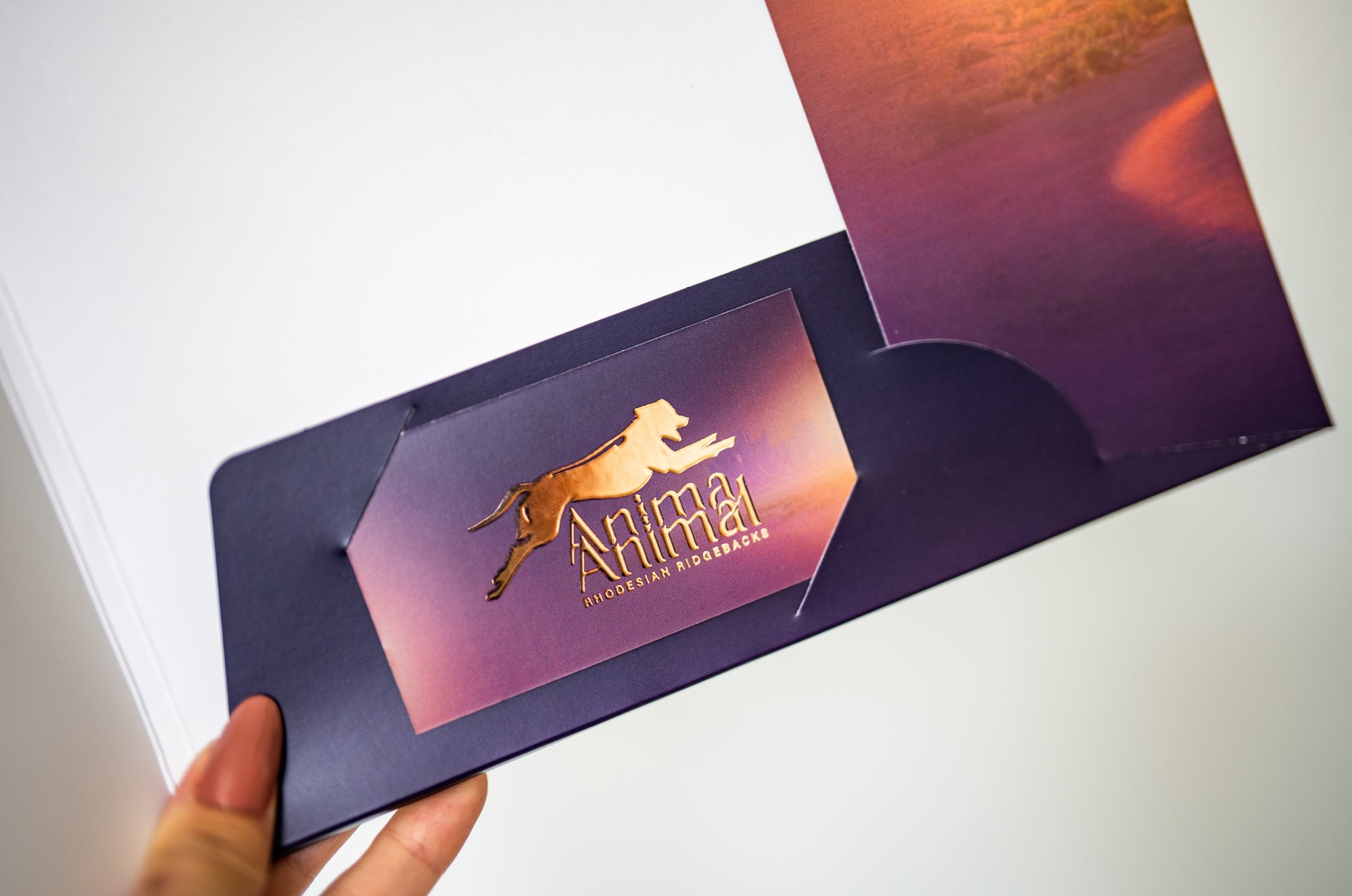 Paper folders for documents