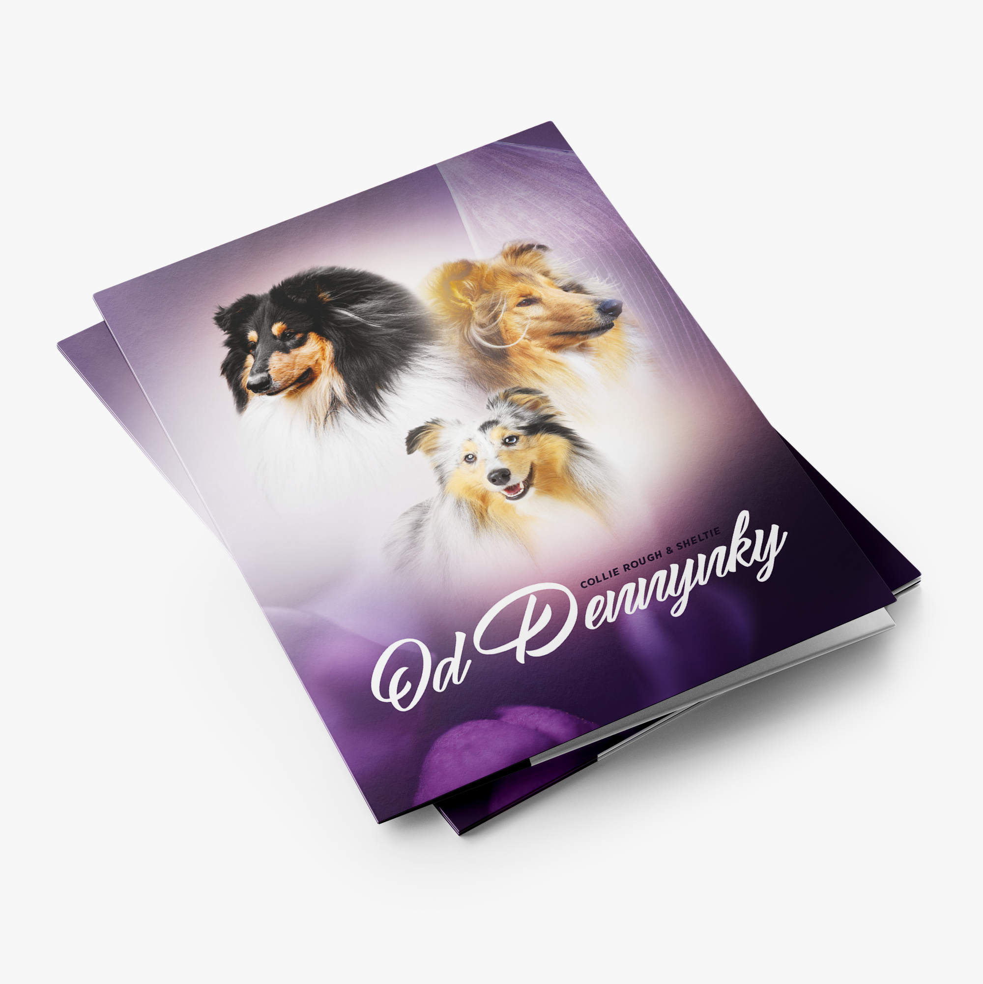 Paper folders for documents